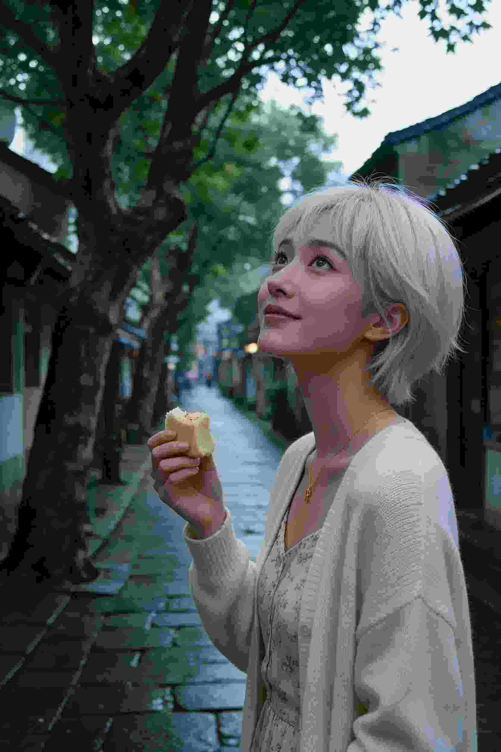 小说封面